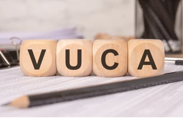 VUCA Leadership