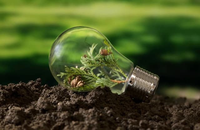 corporate social responsibility