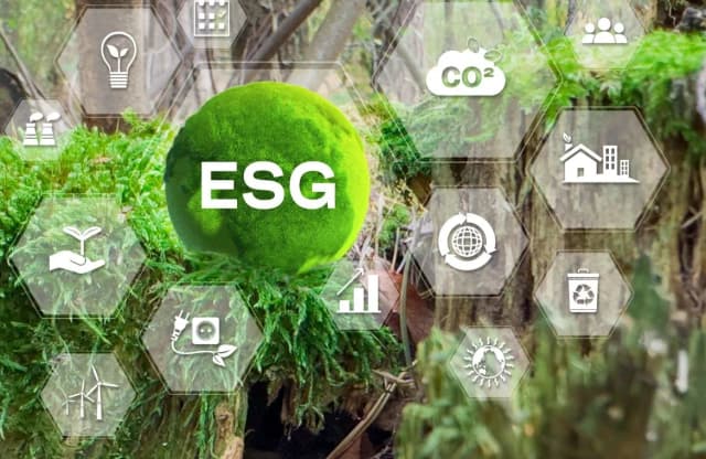 ESG Jobs for Professionals 