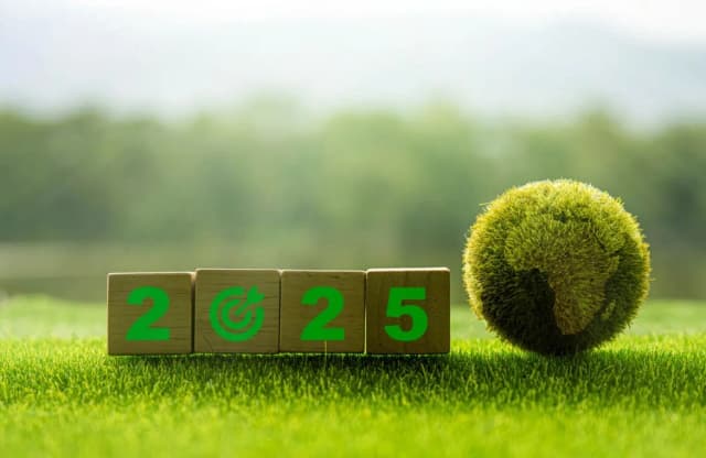 Sustainability Trends in 2025