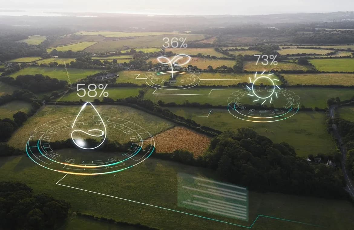 Digital transformation meets sustainability