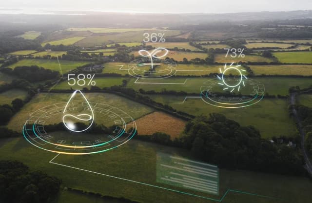 Digital transformation meets sustainability