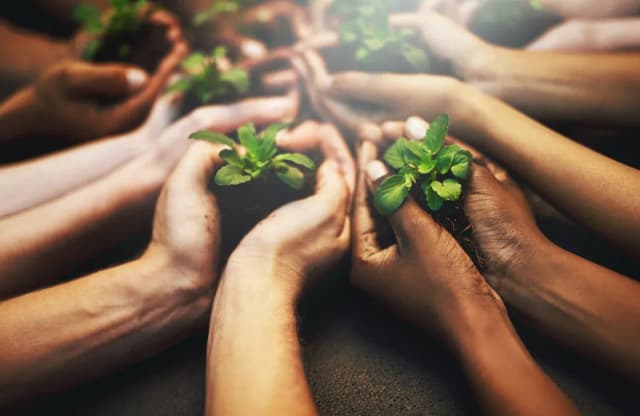 social pillar in ESG