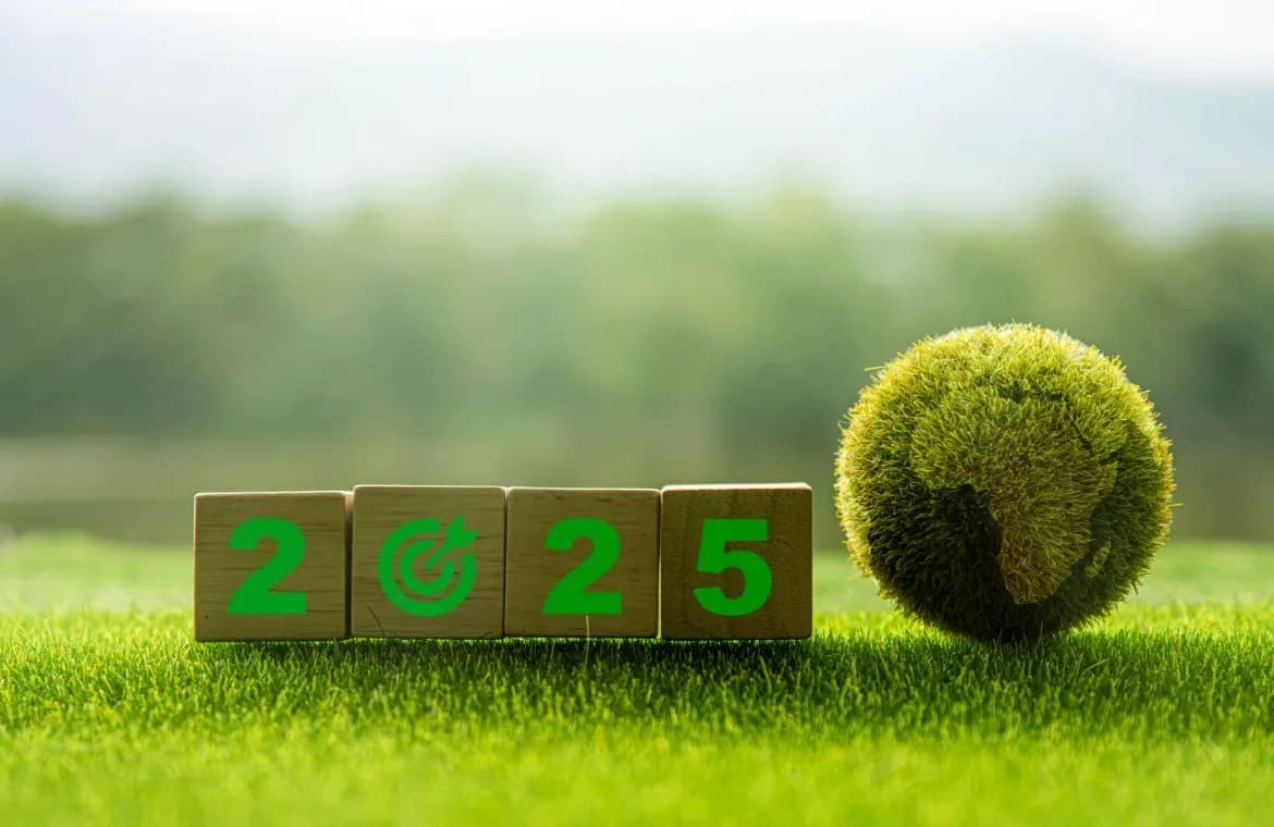 Sustainability Trends in 2025