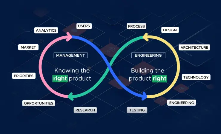 Software Product Engineering and Management Life Cycle